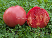 Розовое сердце Краснодарское