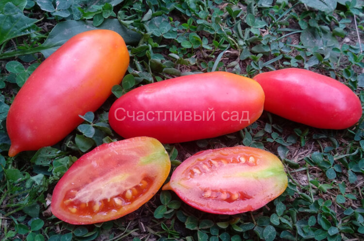 Розовая сосулька