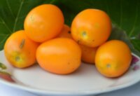 Сердце дракона желтое