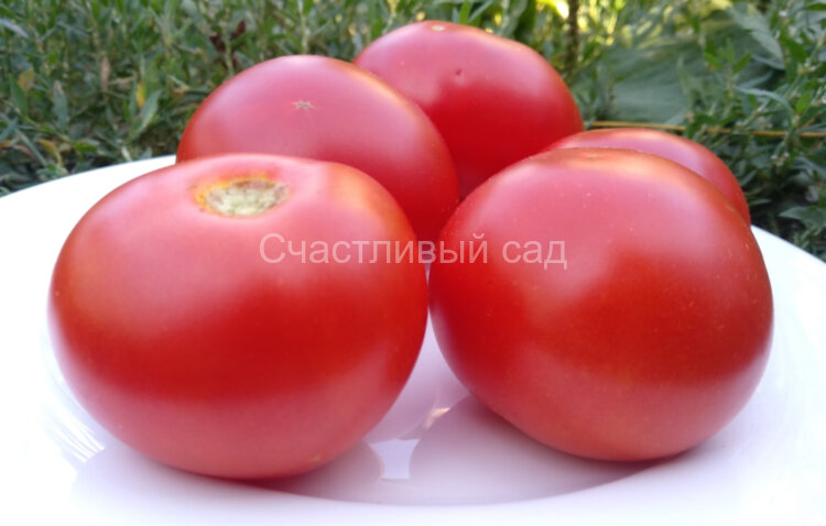 Чудо Сибири