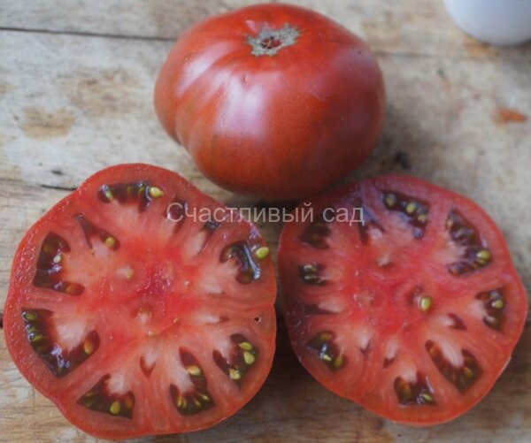 Dwarf Maralinga (Гном Миралинга)