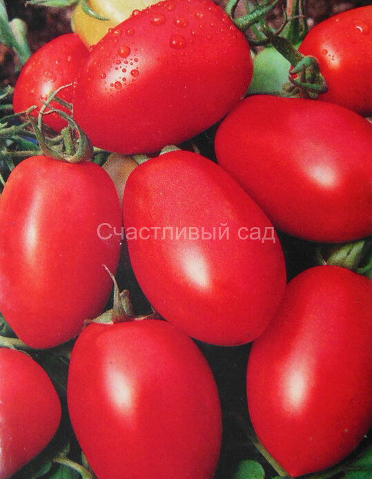 Лагуна Лагуна