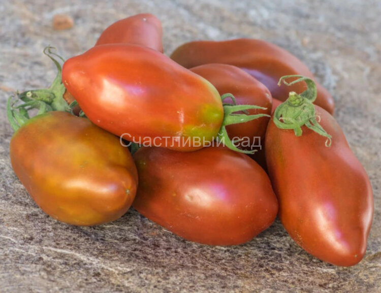 Deep Space (Глубокий космос)