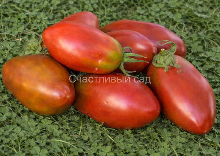 Deep Space (Глубокий космос)