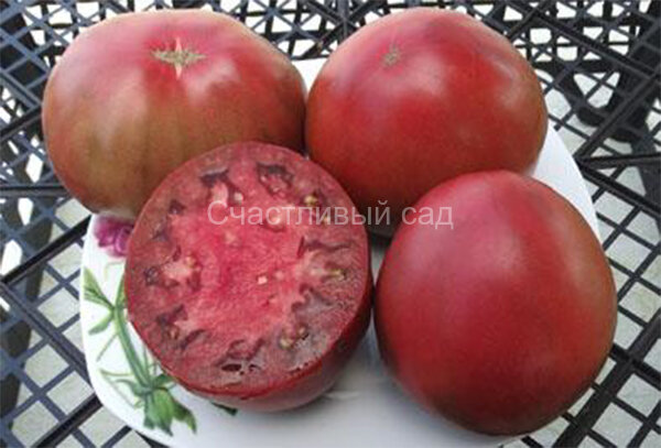 Reinhard's Purple Heart (Пурпурное Сердце Рейнхарда)