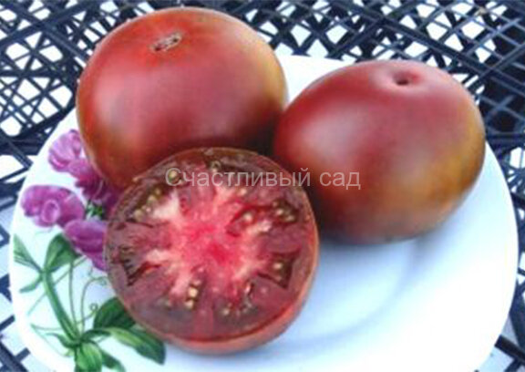 Wine Bay (Винная бухта)