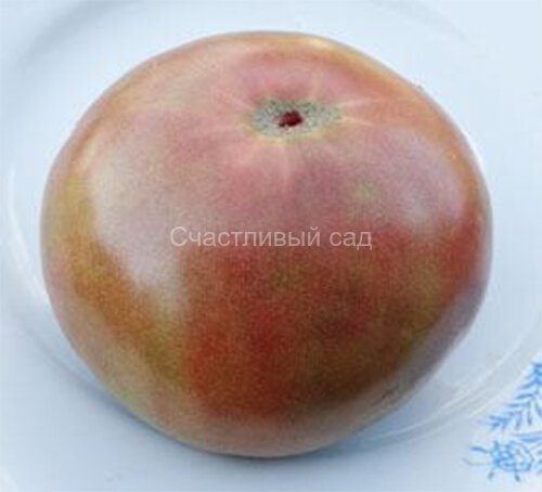 Varsovia (Варшава)