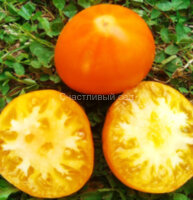 Золотые пески