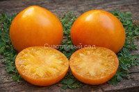 Золотые пески