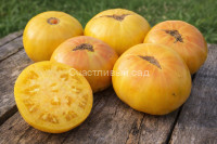 Kentucky Cabin (Кентукки Хижина)