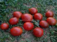 Де барао черный