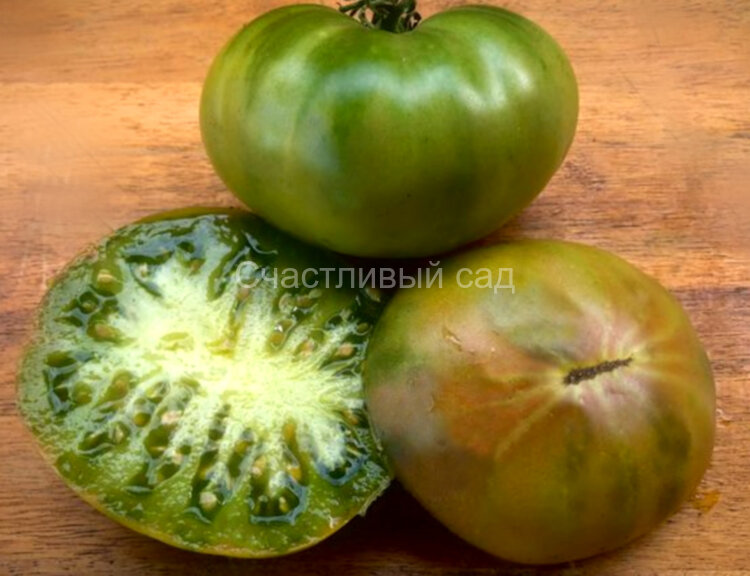 Cherokee Lime (Чероки лайм)