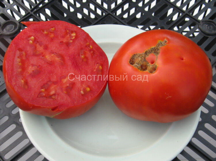 Алтайский мёд