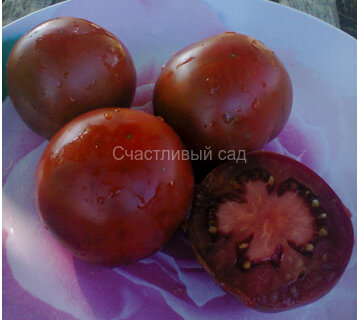 Баклажан помидор