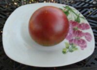 Бордовый (Bordo)