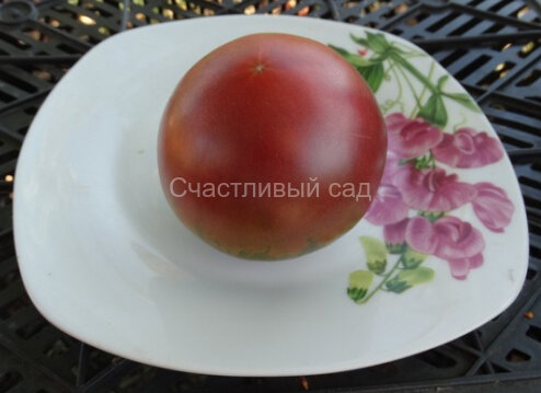 Бордовый (Bordo)