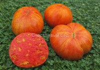 Beauty King (Король красоты)