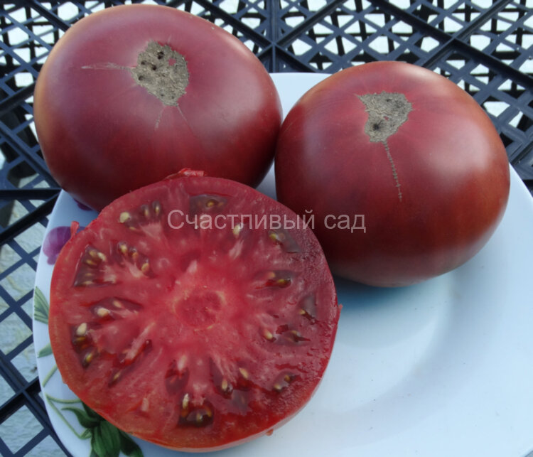 Кубанский черный