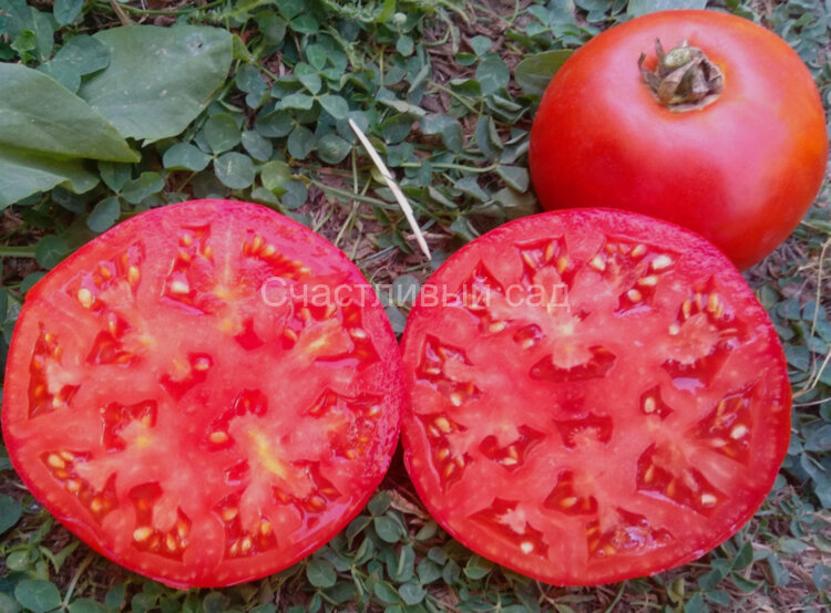 Бифштекс розовый