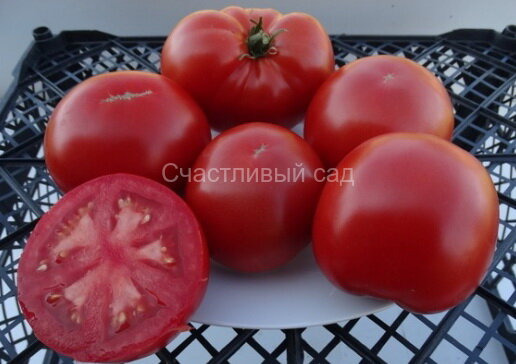 Джереми Роник