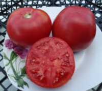 Добрая сказка