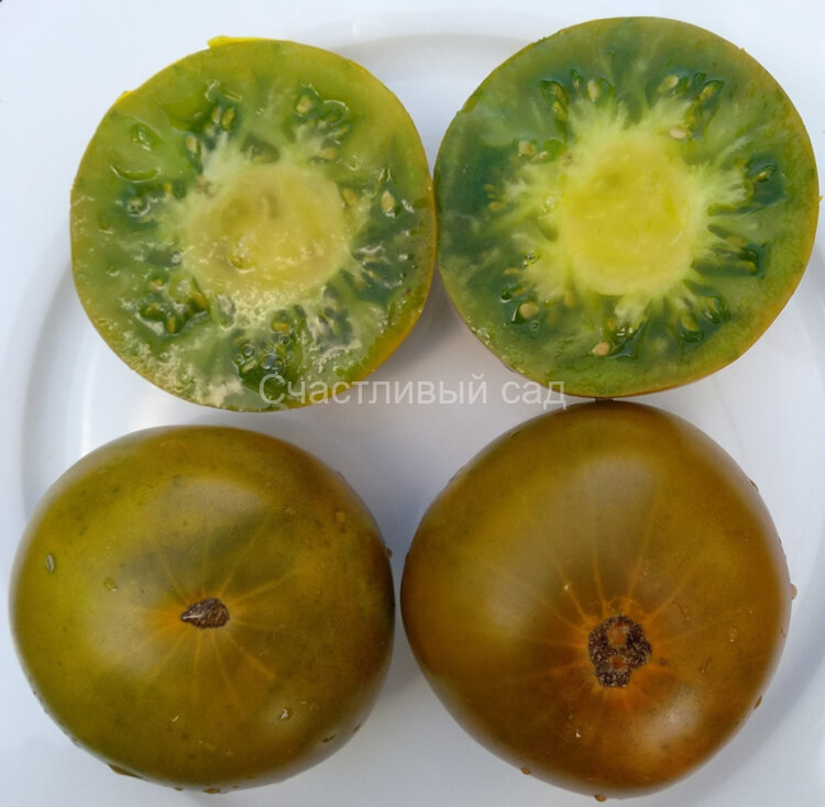 . Плантатор кореец