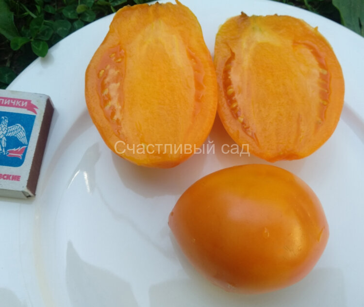 Минусинские стаканы оранжевые Минусинские стаканы оранжевые