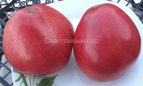 Андижанские