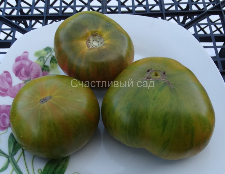 Delta Diver Green (Дельта Дивер Грин)