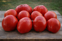 Болгарское сердце крупное