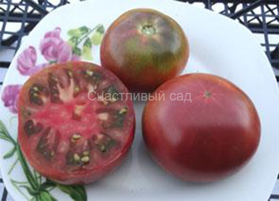 Dwarf Wild Spudleaf (Гном дикий картофельный лист) Dwarf Wild Spudleaf (Гном дикий картофельный лист)