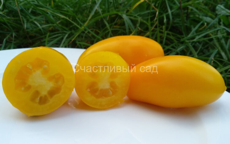 Сосулька желтая