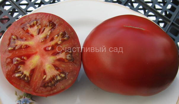 Черное яблоко