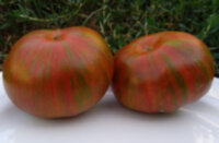 Green Target (Зеленая Мишень)