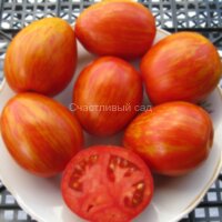 Шаймет криг (Schimmeig Creg)