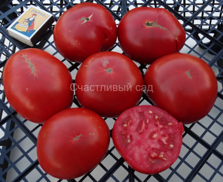 Tip-L-Crop Tip-L-Crop