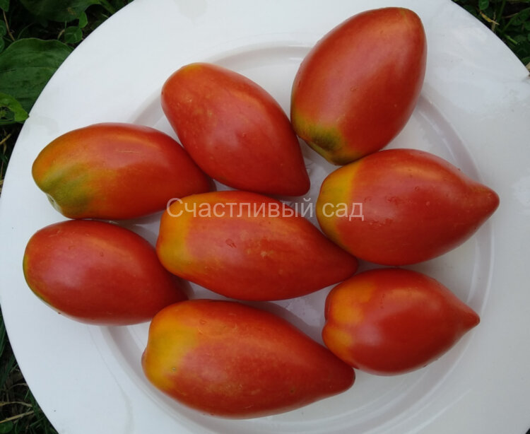 Сливка гурман красная