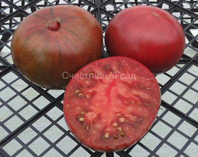 Черный тюльпан