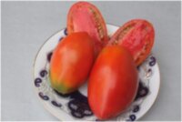 Сливка Мануэля