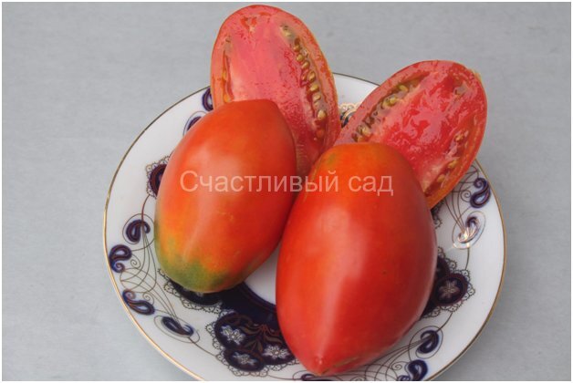 Сливка Мануэля