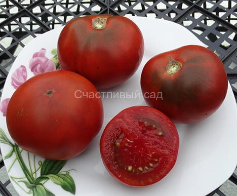 Kangaroo Paw Brown (Коричневая Лапа Кенгуру)