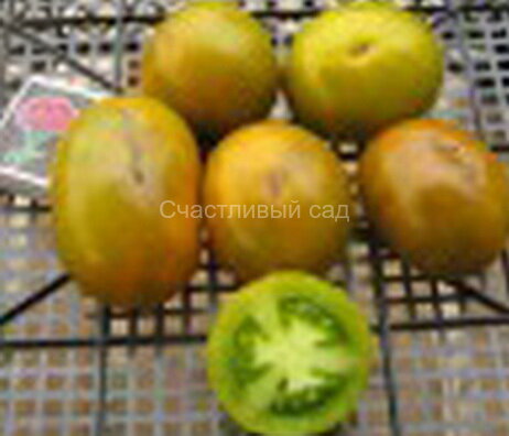 политый известью.jpg . Политый известью