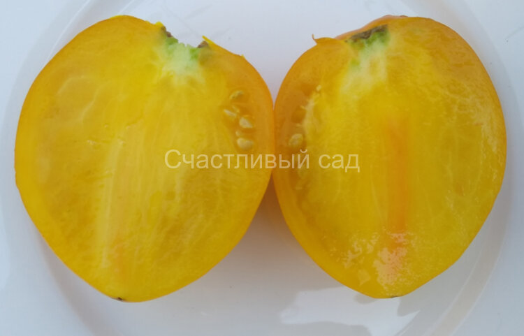 Желтый кардинал