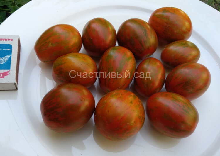 Супер экзотика