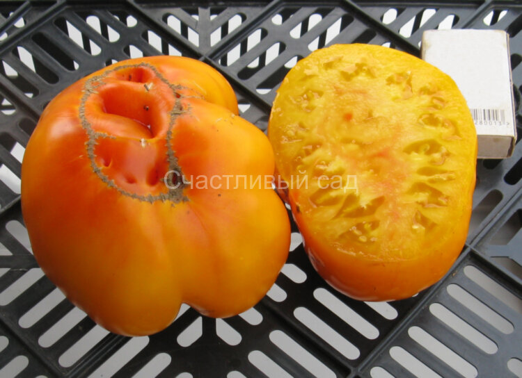 Золото Махараджи