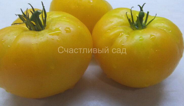 Золото России