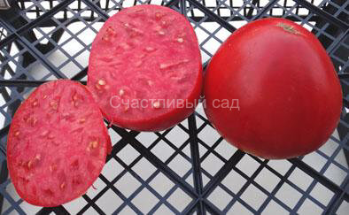 Волховский