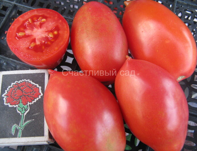 Колокола России