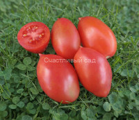 Колокола России