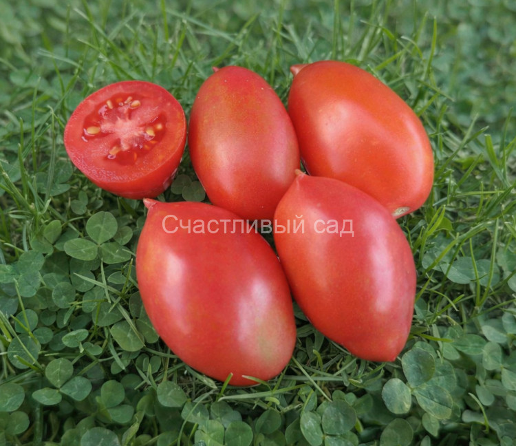 Колокола России